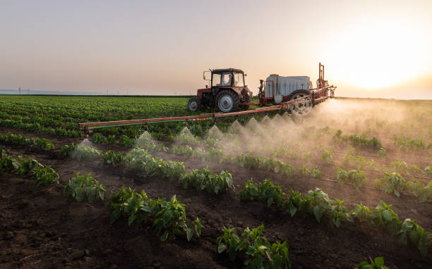 Best Mosquito Control Services  in Timberlake, VA