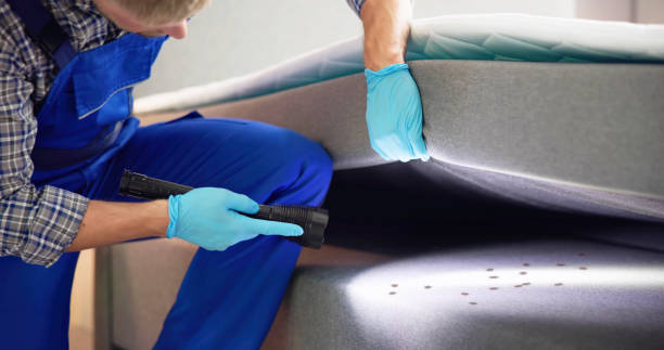 Best Exterminator Services  in Timberlake, VA
